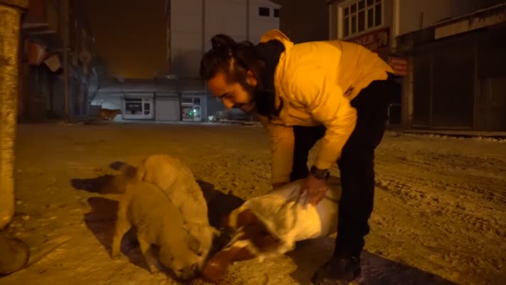 Ağrı Tutak’ta üç öğretmen dondurucu soğukta sokak hayvanlarının yardımına koşuyor