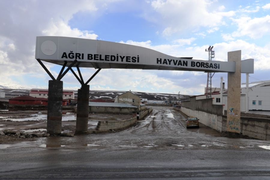 Ağrı canlı hayvan pazarı koronavirüs tedbirleri kapsamında kapatıldı