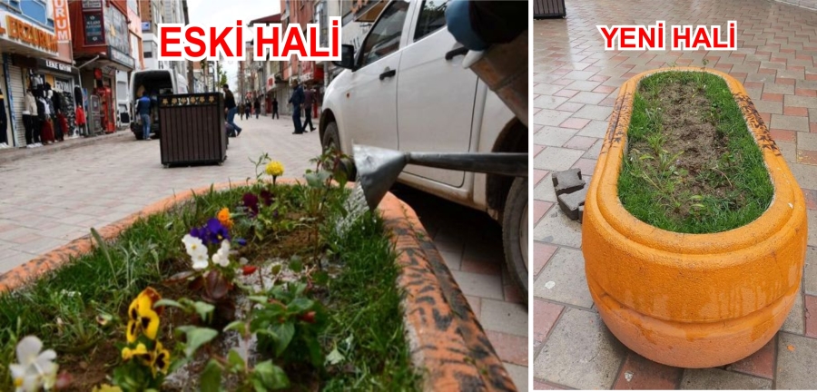 YORUMSUZ HABER  (BİR GÜN ÖNCE DİKİLMİŞTİ)