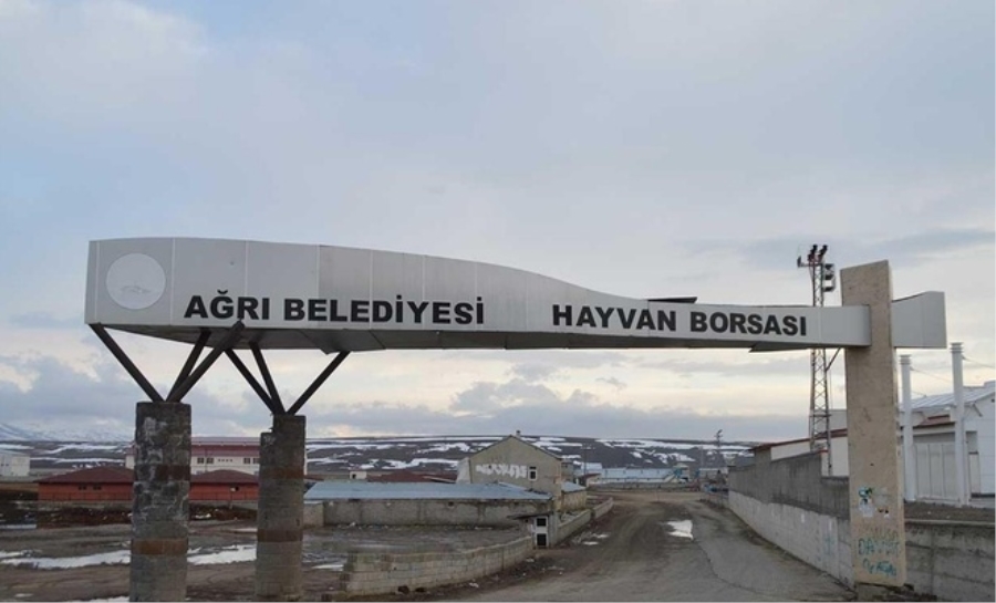 Kovid-19 yüzünden kapatılan Ağrı Hayvan Pazarı haftada 2 gün açık olacak