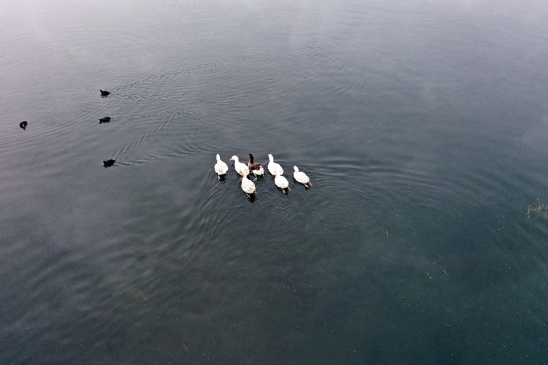 Ağrı Dağı Milli Parkı kış güzelliğiyle göz kamaştırıyor