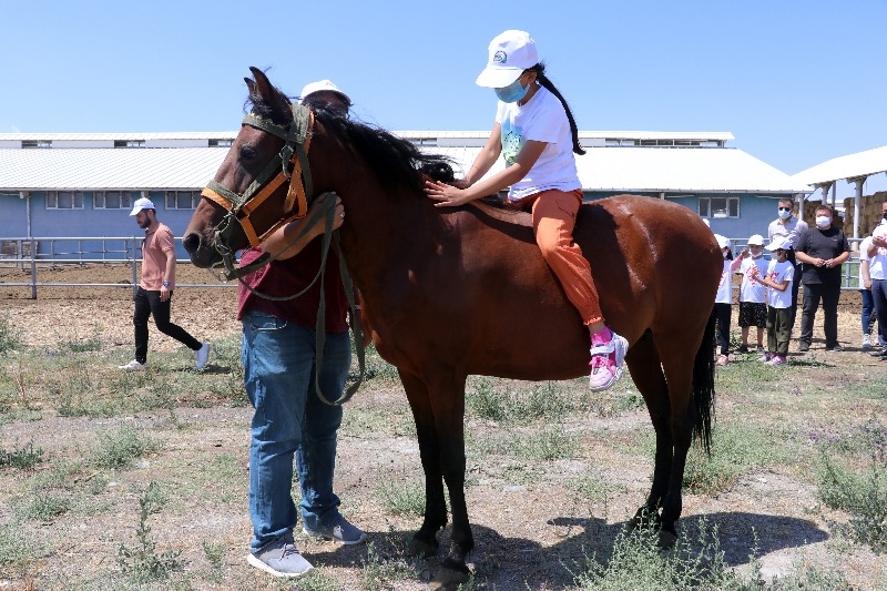 Doğubayazıt’ta öğrencilerin telafi eğitiminde yapay alanda "arkeolojik kazı" deneyimi