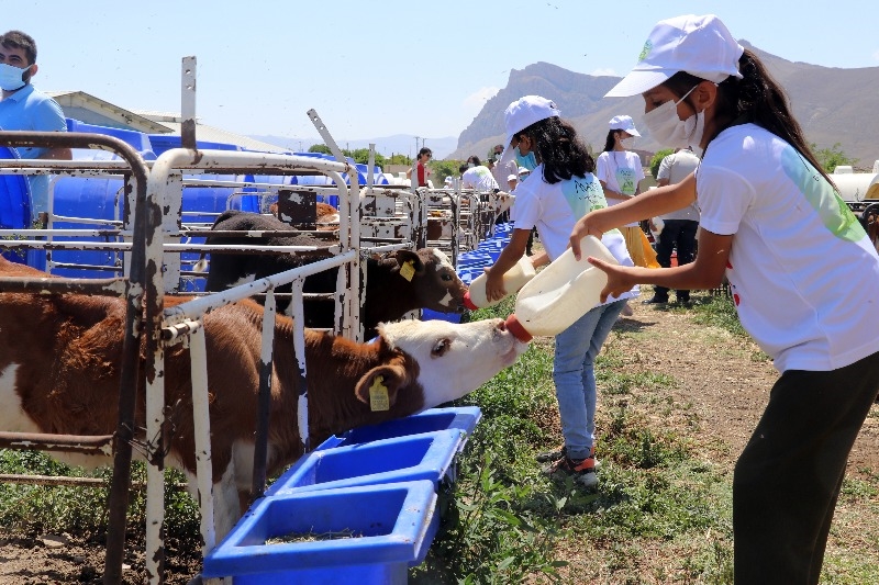Doğubayazıt’ta öğrencilerin telafi eğitiminde yapay alanda "arkeolojik kazı" deneyimi