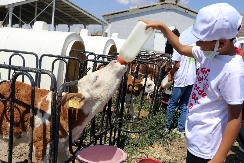Doğubayazıt’ta öğrencilerin telafi eğitiminde yapay alanda "arkeolojik kazı" deneyimi