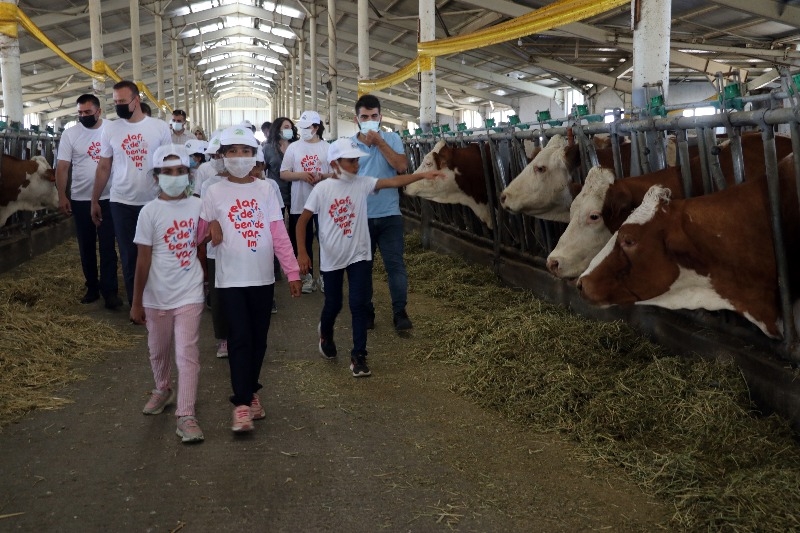 Doğubayazıt’ta öğrencilerin telafi eğitiminde yapay alanda "arkeolojik kazı" deneyimi