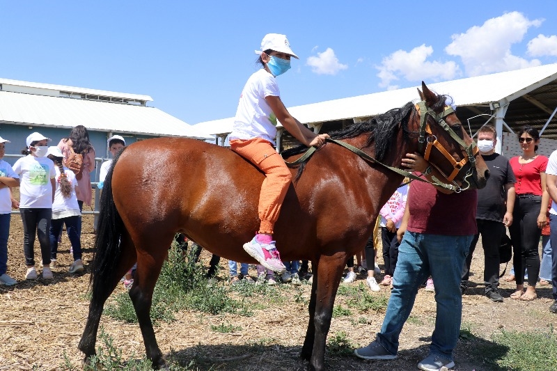 Doğubayazıt’ta öğrencilerin telafi eğitiminde yapay alanda "arkeolojik kazı" deneyimi