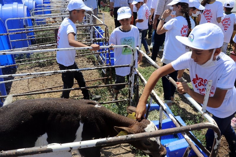 Doğubayazıt’ta öğrencilerin telafi eğitiminde yapay alanda "arkeolojik kazı" deneyimi