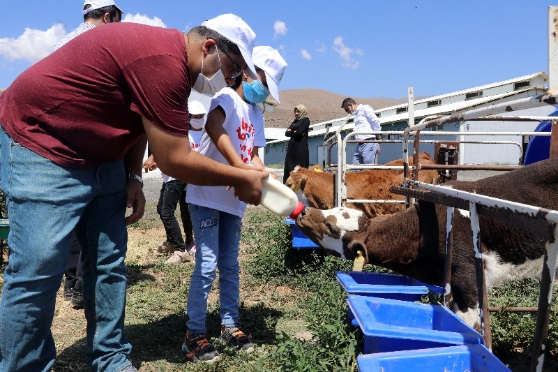 Doğubayazıt’ta öğrencilerin telafi eğitiminde yapay alanda "arkeolojik kazı" deneyimi