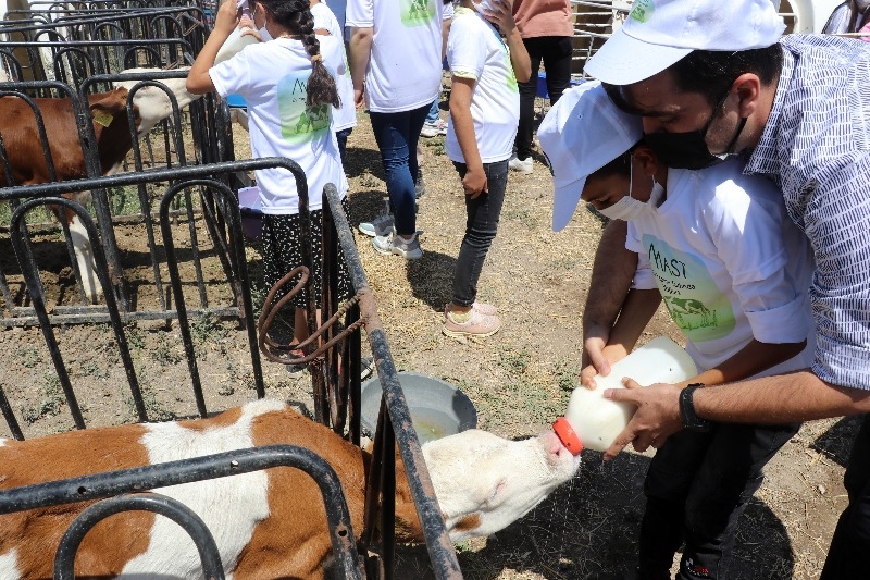 Doğubayazıt’ta öğrencilerin telafi eğitiminde yapay alanda "arkeolojik kazı" deneyimi