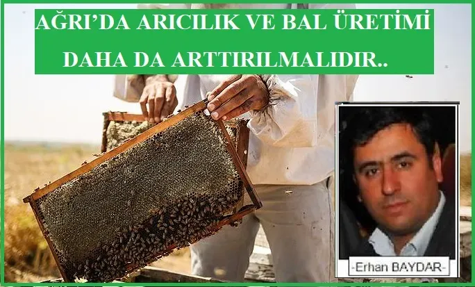 AĞRI’DA  ARICILIK VE BAL ÜRETİMİ DESTEK VE TEŞVİKLERLE  DAHA DA ARTABİLİR..  -ERHAN BAYDAR-