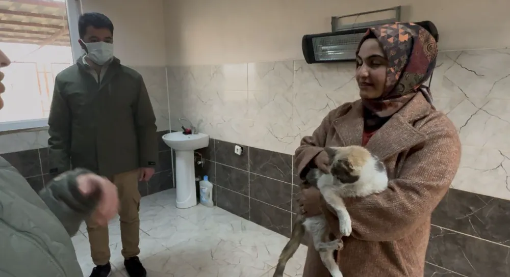 Doğubayazıt Belediyesi, Kapasitesinin üzerinde çalışan Modern Hayvan Bakım evini Genişletiyor!