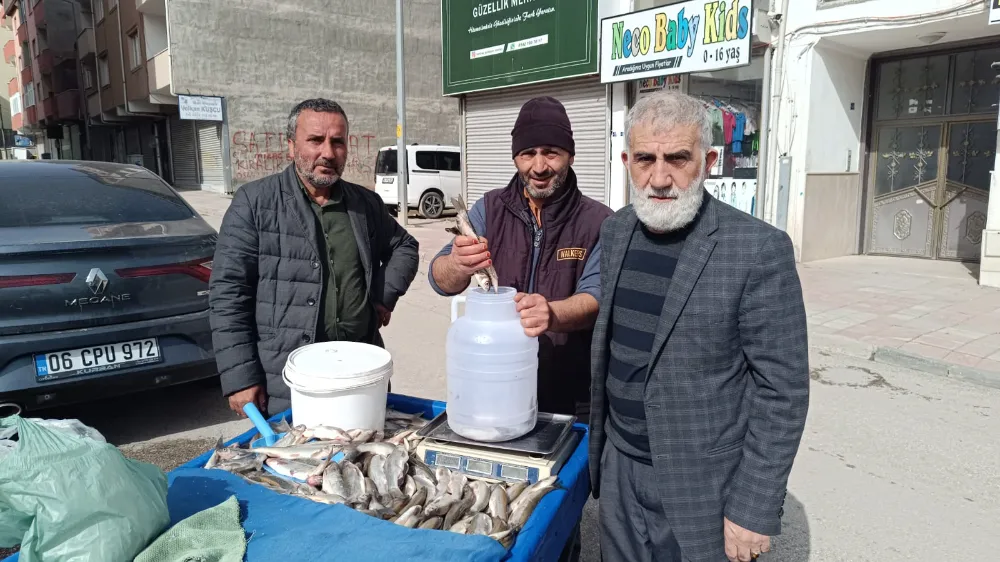 ERCİŞ BALIĞINA BÜYÜK İLGİ