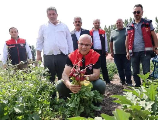 Ağrı
