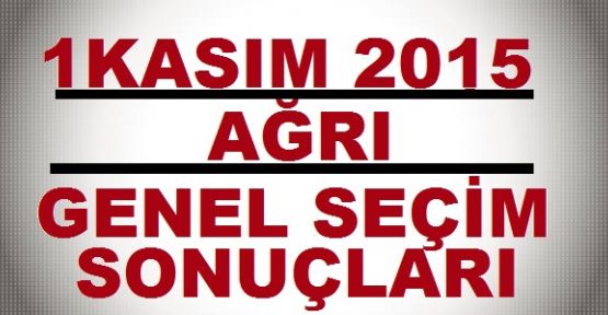 1 Kasım Milletvekilliği Genel Seçimi Ağrı ve ilçeleri resmi olmayan sonucu